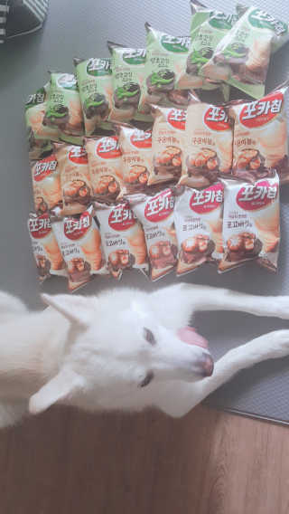 딸랑구둘🥰님이 올린 리뷰 사진 1