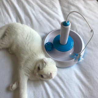 kittyiris님이 올린 리뷰 사진 1