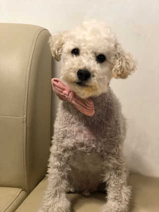 메이블님이 올린 리뷰 사진 2
