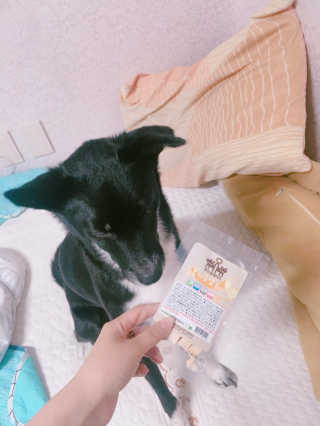 펫츠플레이트 동결건조간식 기호성 테스트 8종 — 4점을 준 리뷰어가 2018년 5월 올린 사용 사진