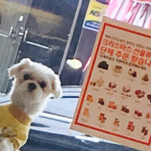 케어존 다크존 아이크림 리뷰 사진