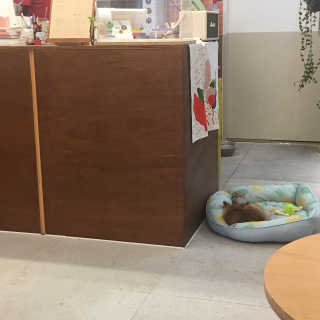 iamtheluckyone님이 올린 리뷰 사진 3