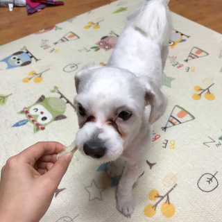 예콩님이 올린 리뷰 사진 4