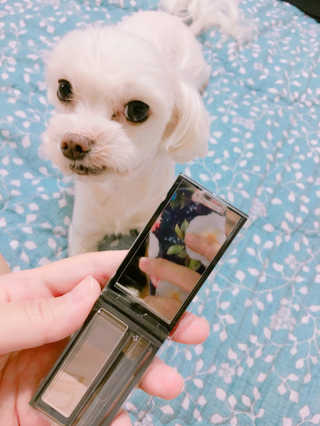 심문경님이 올린 리뷰 사진 1