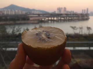 굽이님이 올린 리뷰 사진 2