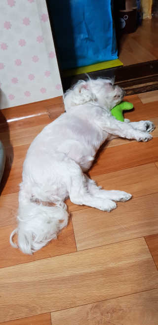 두부님이 올린 리뷰 사진 3