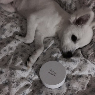 딘아님님이 올린 리뷰 사진 1