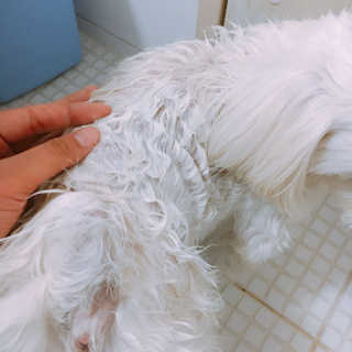 이경진님이 올린 리뷰 사진 3