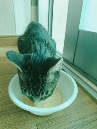 해 쭈 비♥님이 올린 리뷰 사진 3