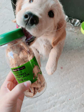 큐티윤님이 올린 리뷰 사진 1