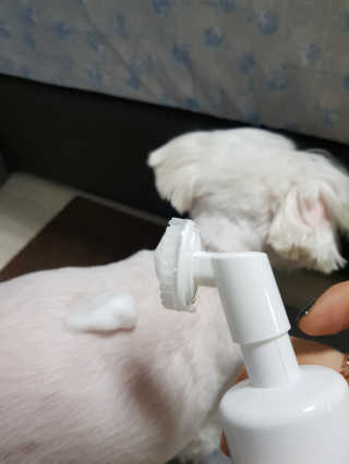 나란여자🤦‍♀️🤷‍♀️💁‍♀️님이 올린 리뷰 사진 3
