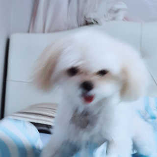 Ranny님이 올린 리뷰 사진 3