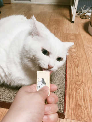 [펫토리아]짜먹는 한입뚝딱 강아지.고양이 마약간식 — 4점을 준 리뷰어가 2019년 8월 올린 사용 사진