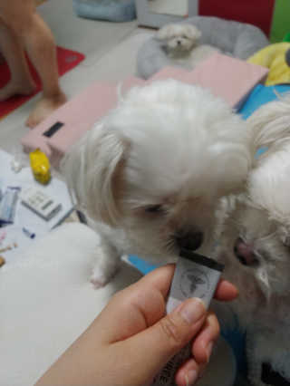 부부부부님이 올린 리뷰 사진 3