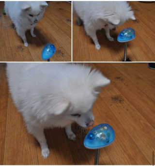 0ee님이 올린 리뷰 사진 1