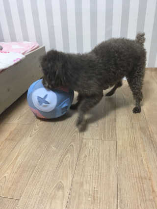 문혜진님이 올린 리뷰 사진 1