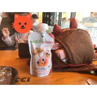 에어드베어 독일 No.1 유기농퓨레 요거트 세트 — 5점을 준 리뷰어가 2017년 4월 올린 사용 사진