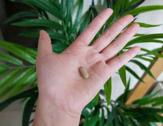 리유 너에게난 쾌변 — 5점을 준 리뷰어가 2019년 9월 올린 사용 사진
