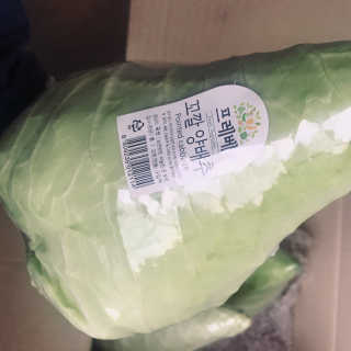 [프레베] 꼬깔양배추 3통 1.8kg 이상 — 5점을 준 리뷰어가 2018년 12월 올린 사용 사진