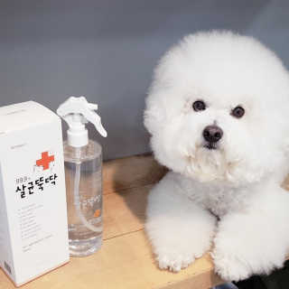 삼숑이맘님이 올린 리뷰 사진 1