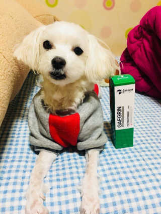 민준민우아빠입니다ㅎ님이 올린 리뷰 사진 1