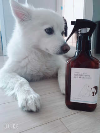 SooYeonKim님이 올린 리뷰 사진 1