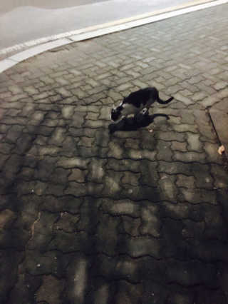성희님이 올린 리뷰 사진 2
