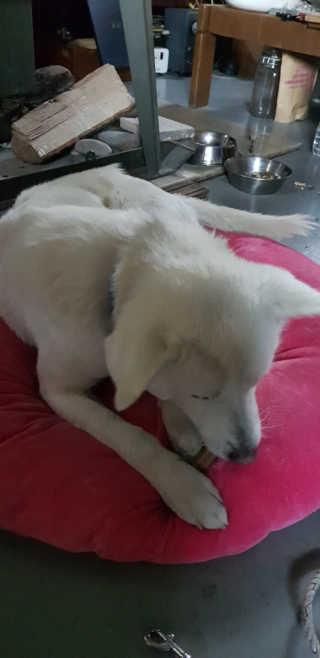 Jenny님이 올린 리뷰 사진 3