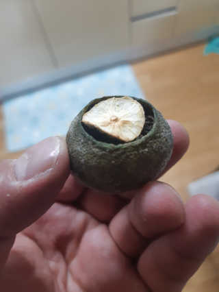 이동찬님이 올린 리뷰 사진 3