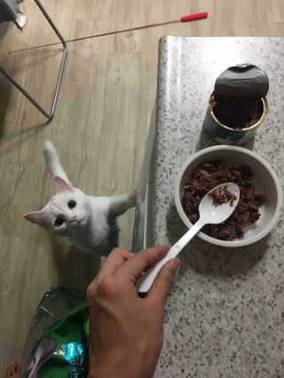 KyungHyeunPark님이 올린 리뷰 사진 4