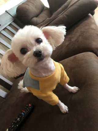 윤블님이 올린 리뷰 사진 1