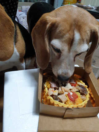 beaglelove님이 올린 리뷰 사진 3