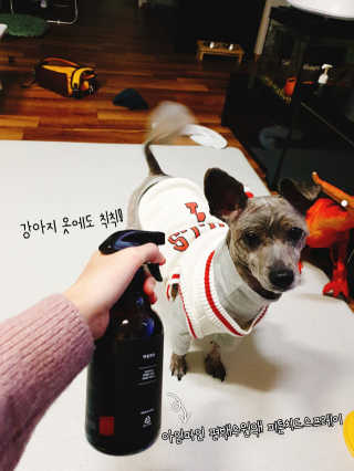 아임파인 편백수원액 피톤치드 스프레이 500ml — 5점을 준 리뷰어가 2018년 12월 올린 사용 사진