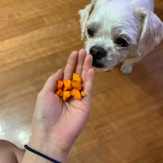 소연님이 올린 리뷰 사진 2