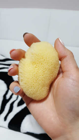 김진희님이 올린 리뷰 사진 1