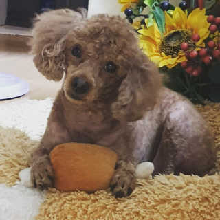 반짝이는별s님이 올린 리뷰 사진 4