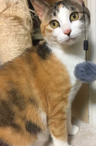 우블리님이 올린 리뷰 사진 2