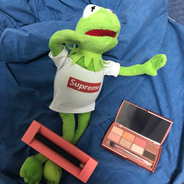 데일리즘 코랄릭 스틱 아이 섀도우 리뷰 사진