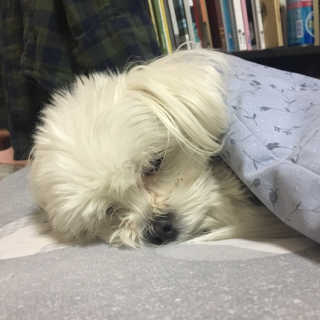 판다님이 올린 리뷰 사진 3