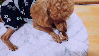 소윤님이 올린 리뷰 사진 2