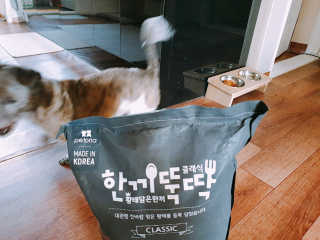 고구밍님이 올린 리뷰 사진 3