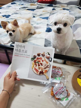 정혜수님이 올린 리뷰 사진 1