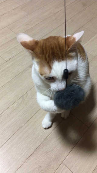 yooon❤️님이 올린 리뷰 사진 1