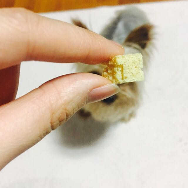 오마이도기 애견 요거트칩/두부칩 리뷰 사진