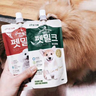 [빙그레] 에버그로 생유산균 1봉（10포입）+펫밀크2팩 — 4점을 준 리뷰어가 2019년 3월 올린 사용 사진