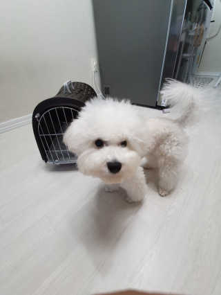 GiWonSong님이 올린 리뷰 사진 2