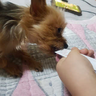 렌냥님이 올린 리뷰 사진 2