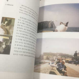 젤라리오님이 올린 리뷰 사진 2