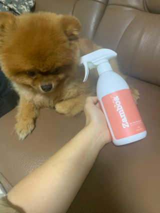 감자링님이 올린 리뷰 사진 1