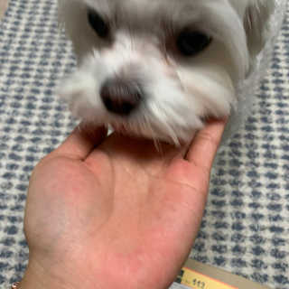 뜽혜님이 올린 리뷰 사진 2